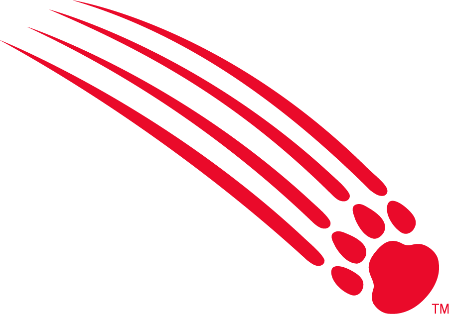 Houston Cougars 2003-2010 Secondary Logo diy iron on heat transfer